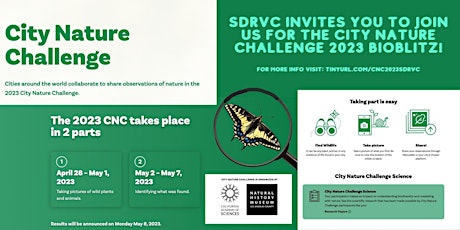SDRVC participation in the City Nature Challenge 2023!