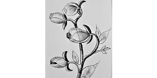 Online - Magnolia Buds Drawing Class primary image