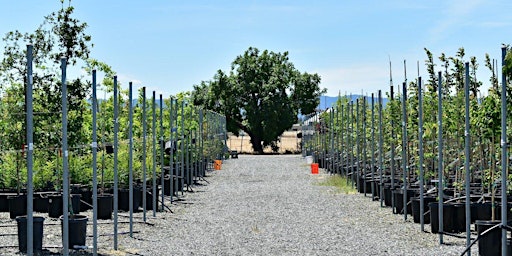 Hauptbild für Nursery Spring Cleaning Day (Medium-High Intensity)