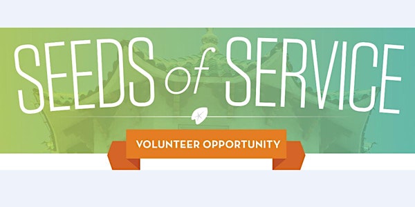 Seeds of Service Community Clean Up