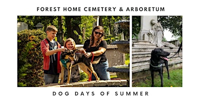 Walking tour: Dogs Days of Summer