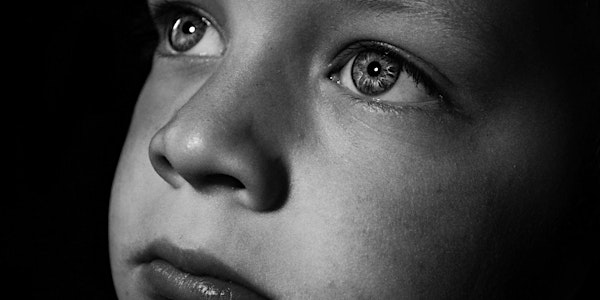 Child Abuse and the Criminal, Civil, and Family Courts - 6 CLE credits