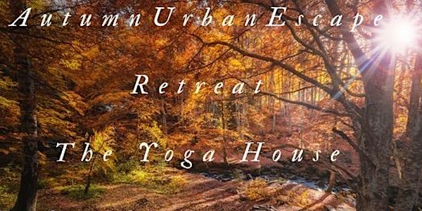 Autumn Urban Escape Retreat