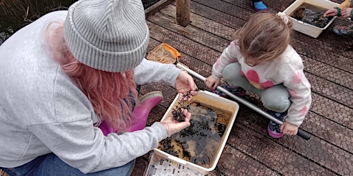 Imagem principal do evento Dyke Dipping at NWT Hickling Broad (EDU FAMILY)