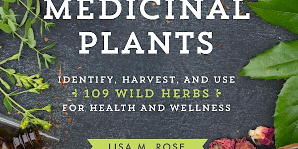 ArtFarmFennville: Wild Plants for Food & Wellness