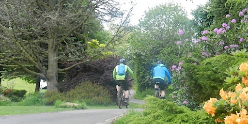 Primaire afbeelding van Evening E-MTB Ride Wednesday