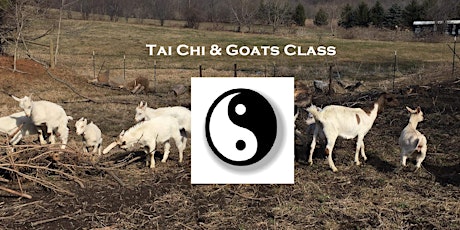 4th Annual - Tai Chi & Goats Class