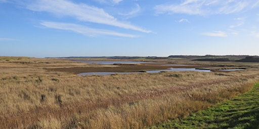 Immagine principale di An introduction to the birds of Cley (Cley Calling) 