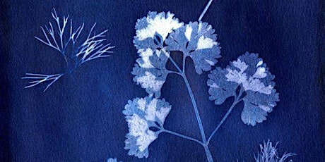 Earth Hour creative workshop #3 Blossom walk and cyanotype photography primary image