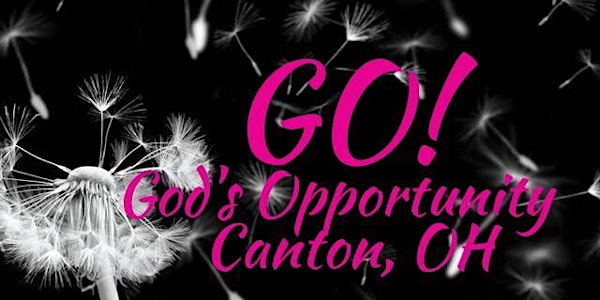 Lead, Serve, GO! (Women's Small Group Bible Study)- SESSION 8 (Fall/Winter...