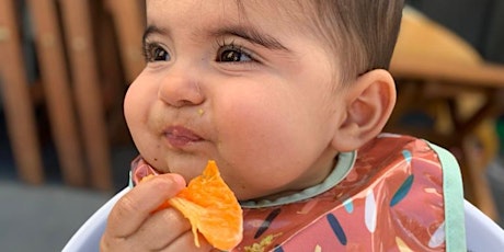 primeros alimentos del bebe y blw en la práctica primary image