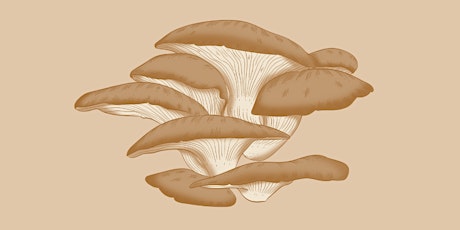 Mushroom Foraging