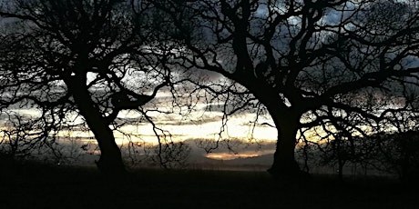 Dawn Chorus - Bird Walk