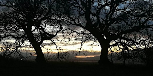 Dawn Chorus - Bird Walk primary image