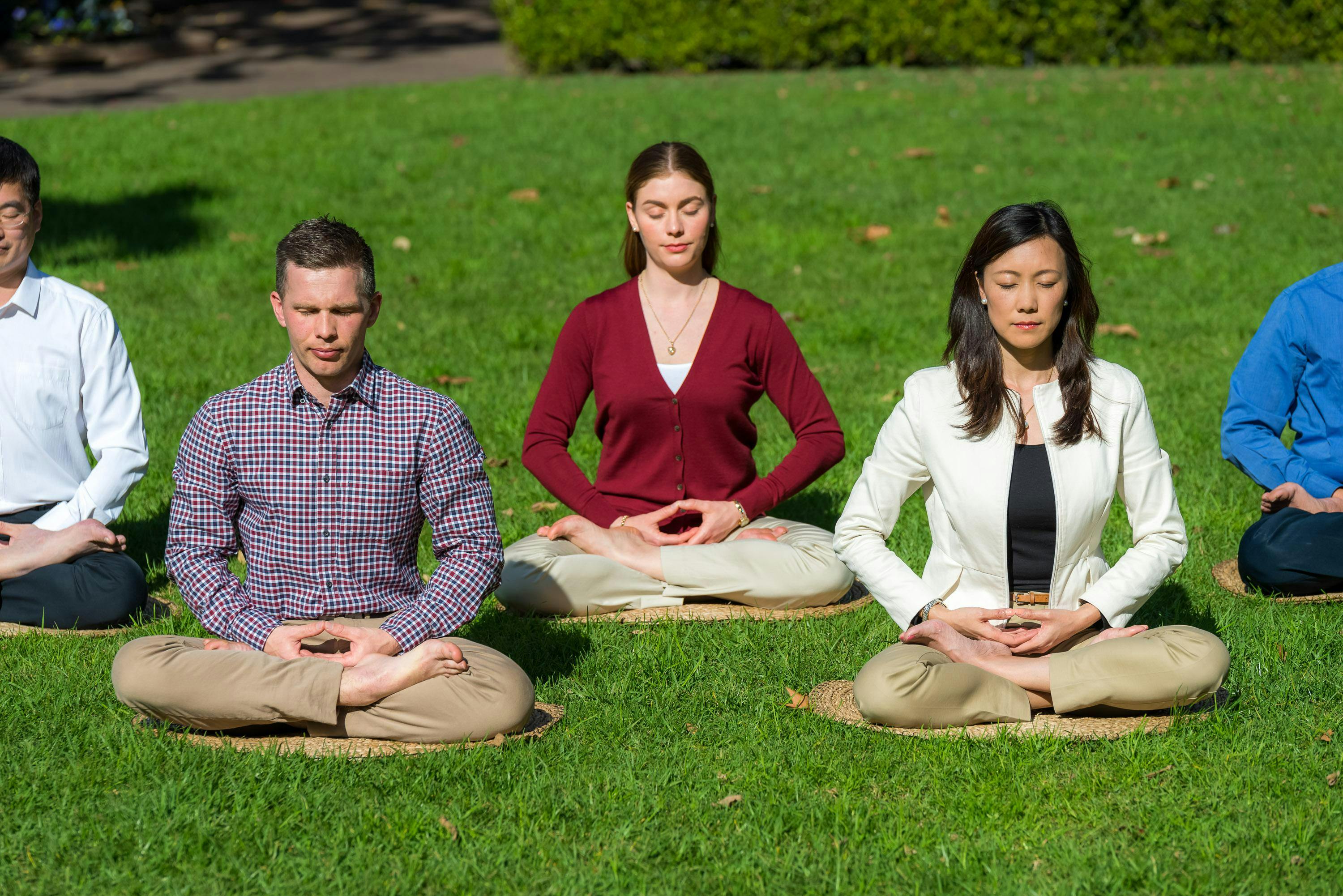 Falun Dafa meditation and exercises at Wynyard Park