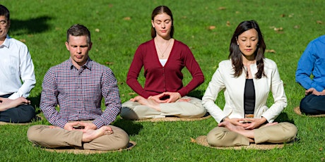 Falun Dafa meditation and exercises at Wynyard Park primary image