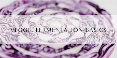 Veggie Fermentation Basics primary image