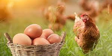 Small Flock Egg Producers Workshop