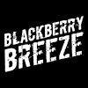 Logotipo de Blackberry Breeze