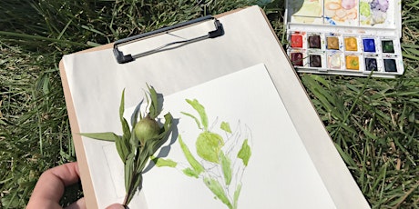 Botanical Illustration - Fall 2018 (Audubon Naturalists Series) primary image
