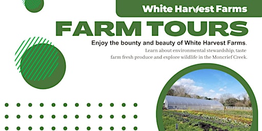 Imagem principal de White Harvest Farm Tours