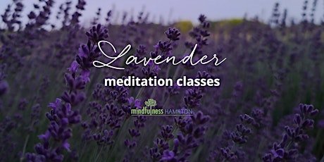 Primaire afbeelding van Lavender Field Morning Meditation Classes
