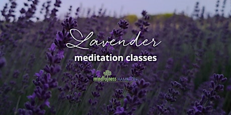 Lavender Field Evening Meditation Classes primary image