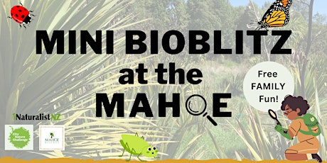 Mini BioBlitz at the Mahoe primary image