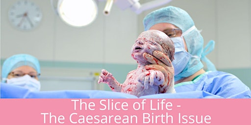 Primaire afbeelding van The Slice of Life - The Caesarean Birth Issue Brisbane 2024