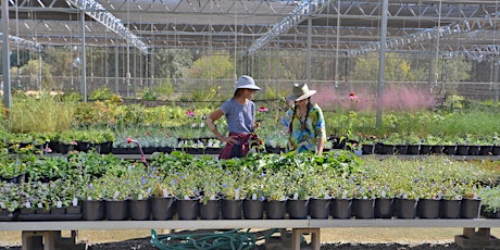 Plant-a-Palooza for UC Master Gardeners! At the UC Davis Arboretum and Public Garden primary image