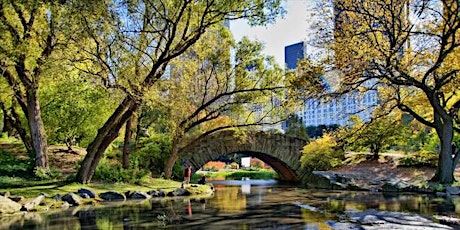 Singles Date Walk in Central Park