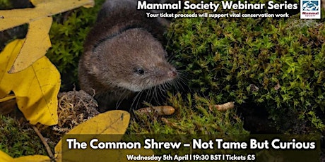 TMS Webinar - The Common Shrew - Not Tame But Curious - Recording