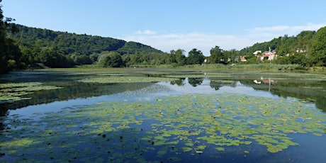 Découverte d'un Espace Naturel Sensible : survoler l'étang de Bellefontaine
