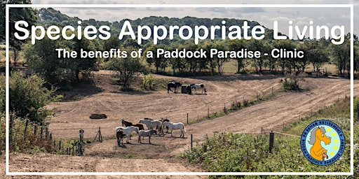 Species Appropriate Living - The Benefits of a Paddock Paradise Clinic primary image