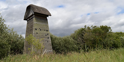 Cuckoo Walk at Wicken Fen - with Nick Davies primary image