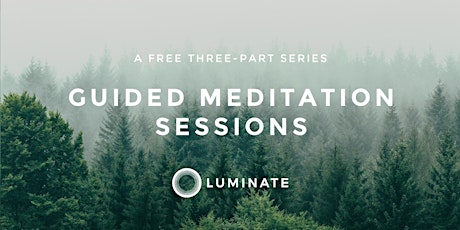 Guided Meditation Sessions primary image