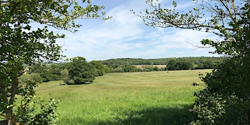 Imagem principal de Nature walk at Gibbets Close Hill reserve, Witney, West Oxfordshire