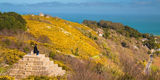 Dalkey/Killiney Hill Walk for +45s age group primary image