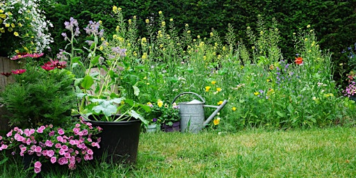 Climate friendly gardening - Gardening for biodiversity