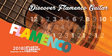 Discover Flamenco Guitar primary image