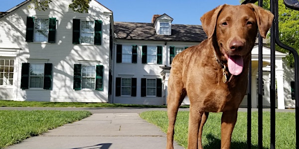 WOOF! A Pawesome Day at Hill-Stead