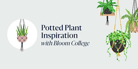 FREE Potted Plant Inspiration with Bloom College  primary image
