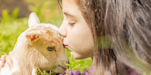 Imagem principal de 2024 Blossoms & Babies at Hicks Orchard - Mother's Day Weekend