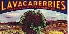 Primaire afbeelding van 2024 Lavaca Berry Festival Vendor Registration