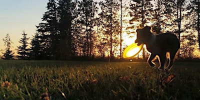 Image principale de Training Class - Career Canines