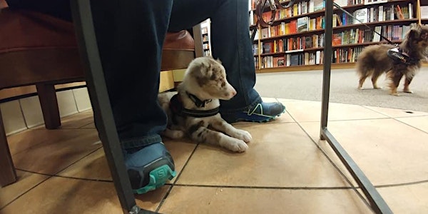 Training Class - Puppy Ambassadors