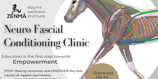 Georgia Equine Neuro Fascial Conditioning Clinic primary image