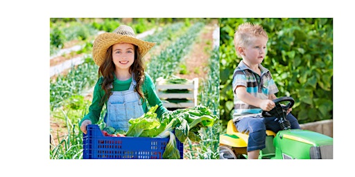 Little Farmer Roundup primary image