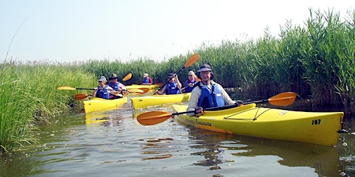 Hackensack Riverkeeper's Sunday Morning Guided Kayak Tours