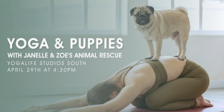 Yoga & Puppies - Supporting Zoe's Animal Shelter primary image